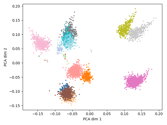 PCA projection on a 2D plane of the word embeddings from the artificial model. Each point has a color corresponding to its dependency relation tag. Some clusters are larger than others because the number of vocabulary elements assigned to a dependency relation is a function of the number of unique lemmas corresponding to that relation in the real data.